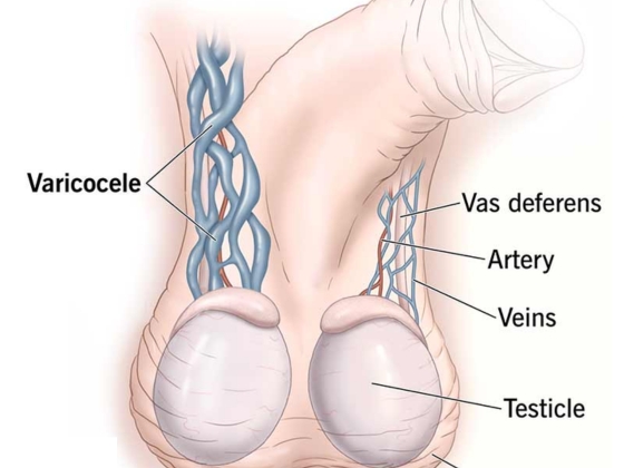 Ritvik-Kidney-Centre